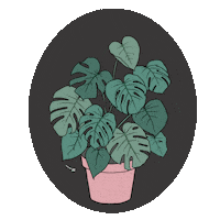 MelancholyMondays aesthetic plant plants leaf Sticker