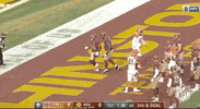 Washington Football Team GIF by NFL