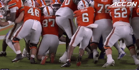 canesport giphyupload GIF