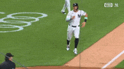 New York Yankees Win GIF by MLB