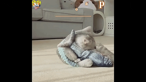 InteractivePetGadgets giphyupload GIF