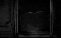 tod browning bat GIF by Maudit