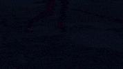 PrinceofPersia sword horses castlevania metroid GIF