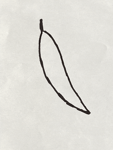 GIF by Kunstkwartier