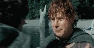 the lord of the rings hug GIF