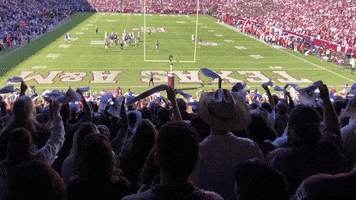 Texas Am Whoop GIF by Texas A&M University