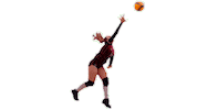 Team Love Sticker by Volleyball Federation of Podolsk