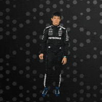 Italian Ok GIF by Mercedes-AMG Petronas Formula One Team