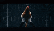 chicken GIF
