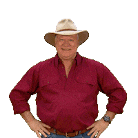 Renovate Channel 9 Sticker by The Block