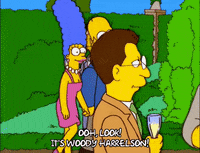 homer simpson episode 13 GIF