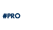 Protection Profi Sticker by Pro Personal