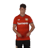 Hložek Sticker by Bayer 04 Leverkusen