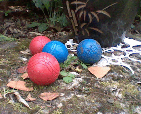 3d photography GIF