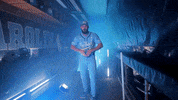 University Of North Carolina Baseball GIF by UNC Tar Heels