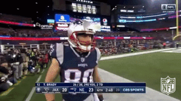 New England Patriots Football GIF by NFL
