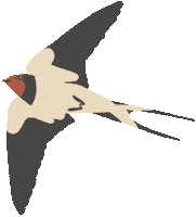 Summer Illustration Sticker