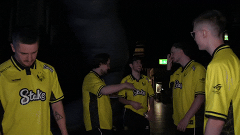 Vitality GIF by BLAST