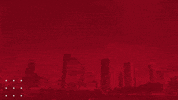 Final Four Cougars GIF by University of Houston
