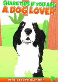 PetJuvenate petjuvenate henlo hooman fren love rescue dogs treatos and woofer for pupper GIF