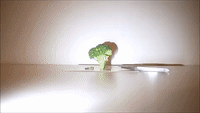 Man Creates Tiny Tree House on Piece of Broccoli