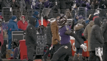 National Football League GIF by NFL