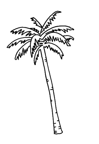 palm tree fun Sticker by Serena & Lily