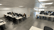 fintonic office fintonic GIF
