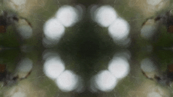 Art Film GIF by jorgemariozuleta