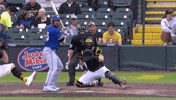 Home Run Mlb GIF by Toronto Blue Jays