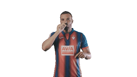 Goal Rip Sticker by SD Eibar