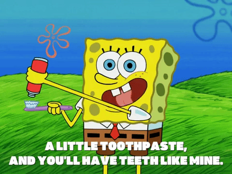season 5 000 patties under the sea GIF by SpongeBob SquarePants