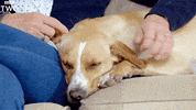 sleepy bbc two GIF by BBC