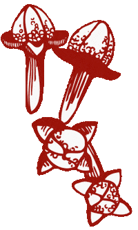 Sibb Sticker by Sibbitter