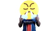 Happy France Sticker by Paris Saint-Germain Handball