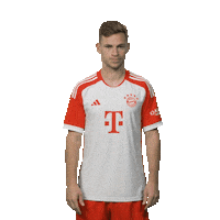 Football Sport Sticker by FC Bayern Munich