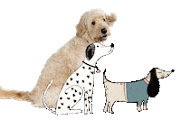 Friends Wagging Sticker by hello matze illustrations