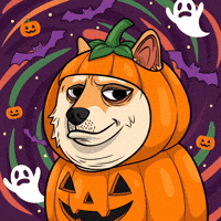 Shiba Inu Dog GIF by Doge Pound
