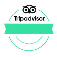 yeitours travel mexico turismo tourism Sticker