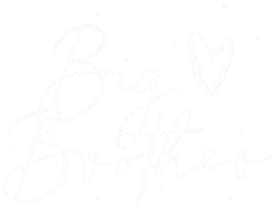Big Brother Love Sticker