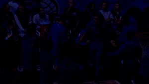 lets go love GIF by NBA