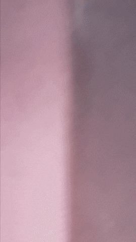 Flying Saint Paul GIF