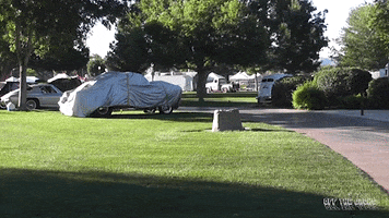 driving classic car GIF by Off The Jacks