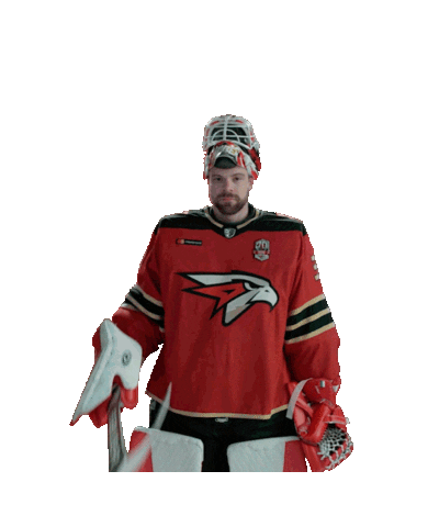 Goal Hockey Sticker by Avangard