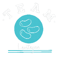 Foodie Veggie Sticker by Hamburguesas Paladar