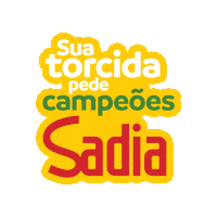 Futebol Copa Sticker by brfsadia