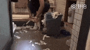 GIF by Demic
