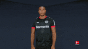Happy Bayer 04 GIF by Bundesliga
