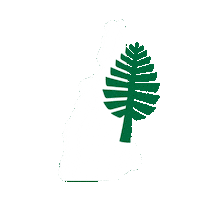 Map Biggreen Sticker by Dartmouth College