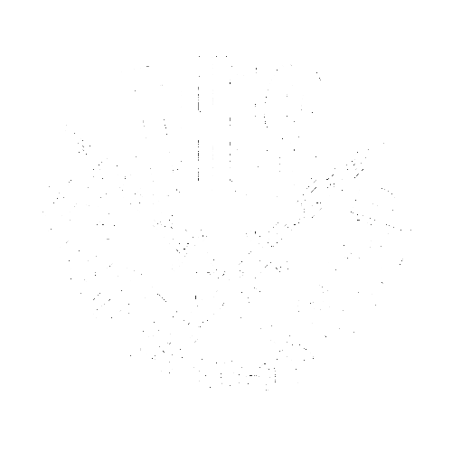 THISSkateshop giphyupload skateboard skateboarding fargo Sticker